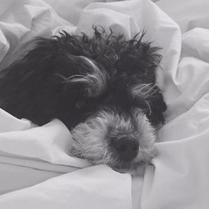 Meet your Posher, Valerie